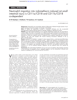 Neutrophil migration into indomethacin induced rat small intestinal