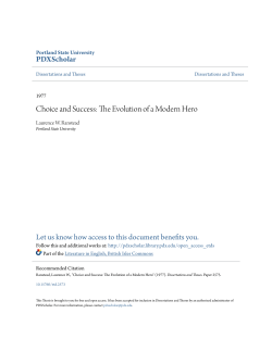Choice and Success: The Evolution of a Modern Hero