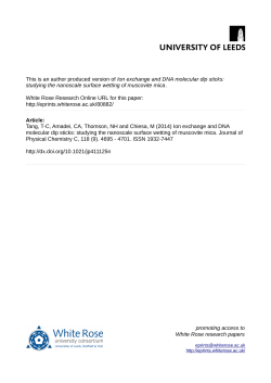 Ion exchange and DNA molecular dip sticks: studying the nanoscale