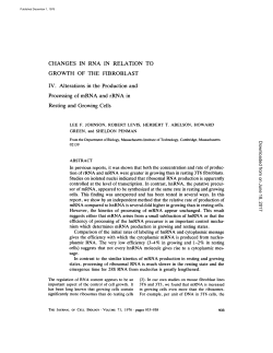 CHANGES IN RNA IN RELATION GROWTH OF THE FIBROBLAST
