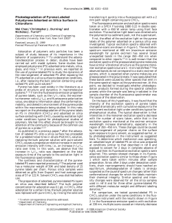 as a PDF