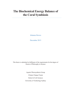 The Biochemical Energy Balance of the Coral
