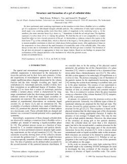 Structure and formation of a gel of colloidal disks