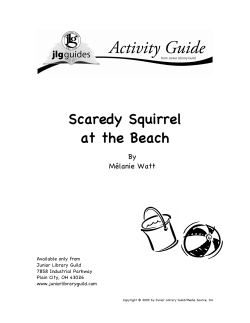 Scaredy Squirrel at the Beach