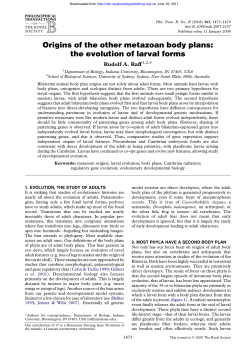 Origins of the other metazoan body plans: the evolution of larval forms