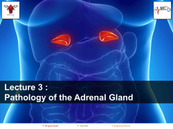 Pathology of the Adrenal Gland