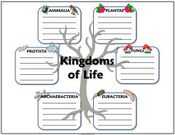Kingdoms of Life