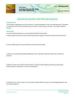 CREATING PHYLOGENETIC TREES FROM DNA SEQUENCES