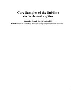 Core Samples of the Sublime On the Aesthetics of Dirt