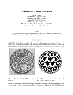 Tony Bomford`s Hyperbolic Hooked Rugs