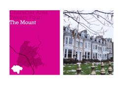 Character Area Twenty Four: The Mount