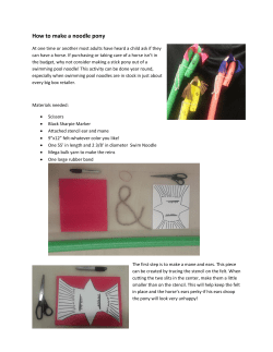 How to make a noodle pony