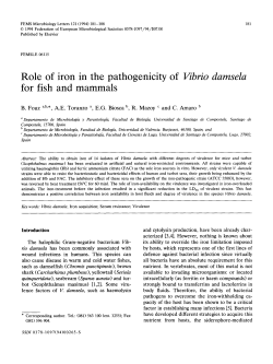 Role of iron in the pathogenicity of Vibrio damsela for fish and