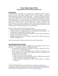 Casco Open Space Plan