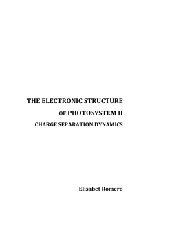 THE ELECTRONIC STRUCTURE OF PHOTOSYSTEM II