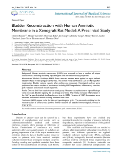Bladder Reconstruction with Human Amniotic Membrane in a