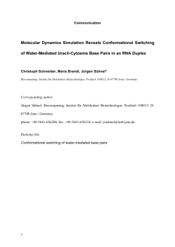 Molecular Dynamics Simulation Reveals