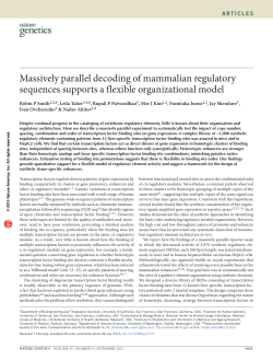 Massively parallel decoding of mammalian regulatory sequences