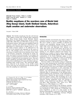 Benthic megafauna of the nearshore zone of Martel