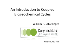 An Introduction to Coupled Biogeochemical Cycles