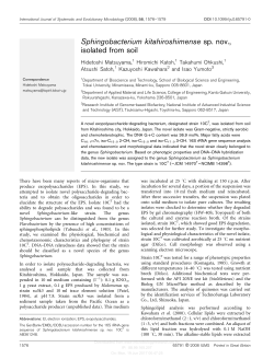 Sphingobacterium kitahiroshimense sp. nov., isolated from soil