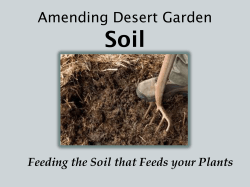Amending Desert Garden Soil - Sandoval County Master Gardeners