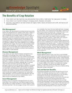 The Benefits of Crop Rotation