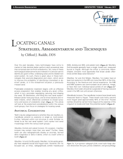 Strategies, Armamentarium and Techniques