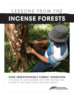 incense forests - cloudfront.net