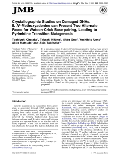 Crystallographic Studies on Damaged DNAs. II. N6