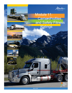 module 11: carrier profiles and safety fitness
