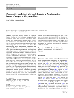 Comparative analysis of microbial diversity in Longitarsus flea