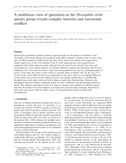 A multilocus view of speciation in the Drosophila irilis species group