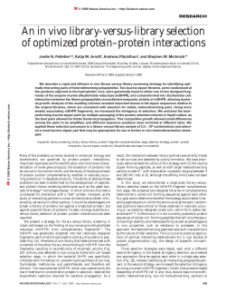 An in vivo library-versus-library selection of optimized protein