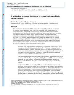 3′ uridylation precedes decapping in a novel