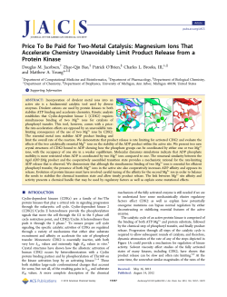 Price To Be Paid for Two-Metal Catalysis: Magnesium Ions That