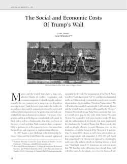 The Social and Economic Costs Of Trump`s Wall