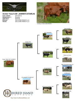 Archer Texa X ZD JANINE`S STARLIG
