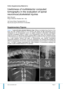 Usefulness of multidetector computed tomography in the