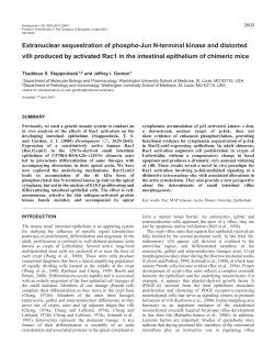 Drosophila, Ecdysone, Nuclear receptor, GATAb