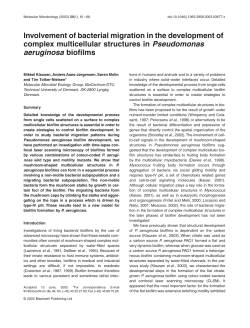 Involvement of bacterial migration in the development of complex