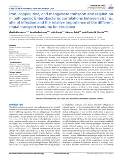 Iron, copper, zinc, and manganese transport and regulation in