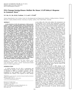 DNA Damage-Sensing Kinases Mediate the Mouse 2