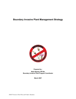 Boundary Invasive Plant Management Strategy