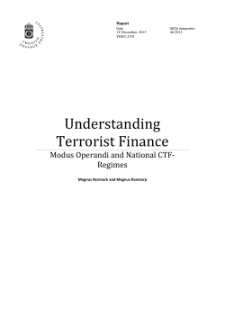 Understanding Terrorist Finance
