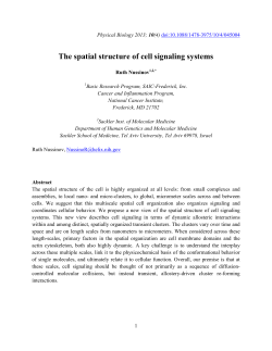 The spatial structure of cell signaling systems