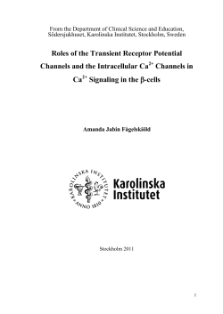 Thesis for Word XP - KI Open Archive