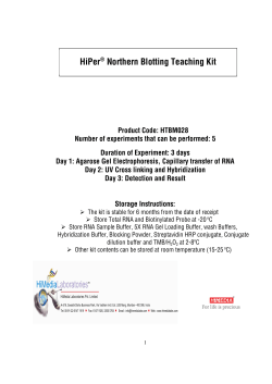 HiPer&reg; Northern Blotting Teaching Kit