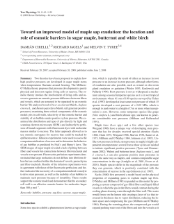 Toward an improved model of maple sap exudation: the location