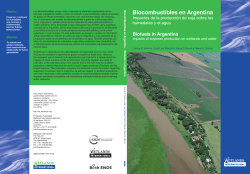 Biofuels in Argentina - Impacts of soybean production on wetlands